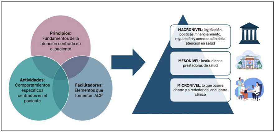 Figura 1: Modelo integrador de ACP. Basado en el modelo propuesto por Scholl I. y cols (3)